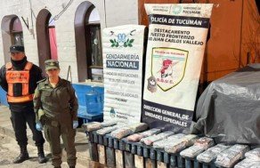 Imagen Noticia