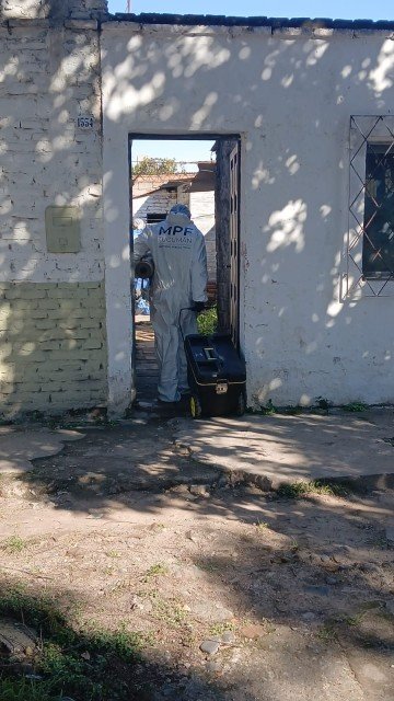 Foto